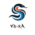 VBORA_LOGO_FINAL-removebg-preview